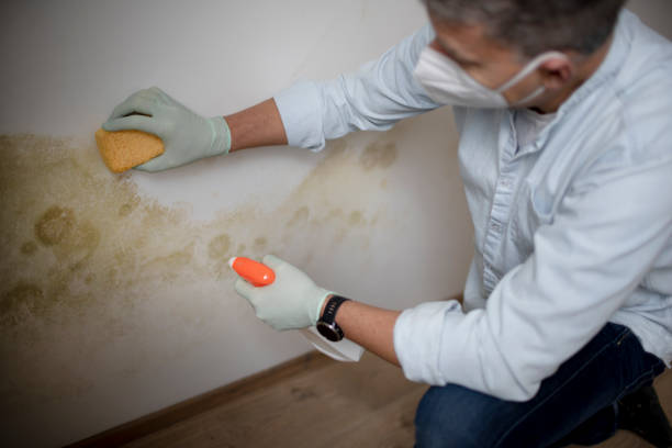 Water Damage Restoration in Manchester, GA