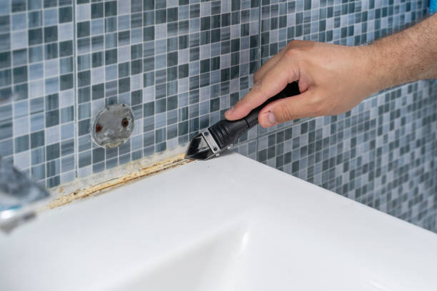 Best Black Mold Removal  in Manchester, GA