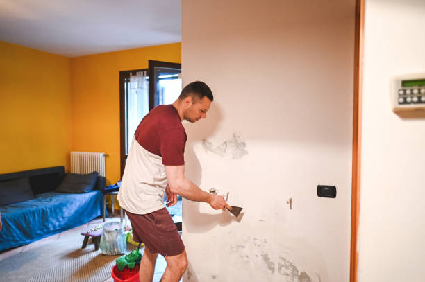 Best Mold Damage Repair  in Manchester, GA