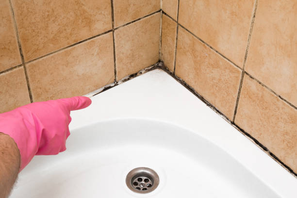 Best Mold Testing  in Manchester, GA